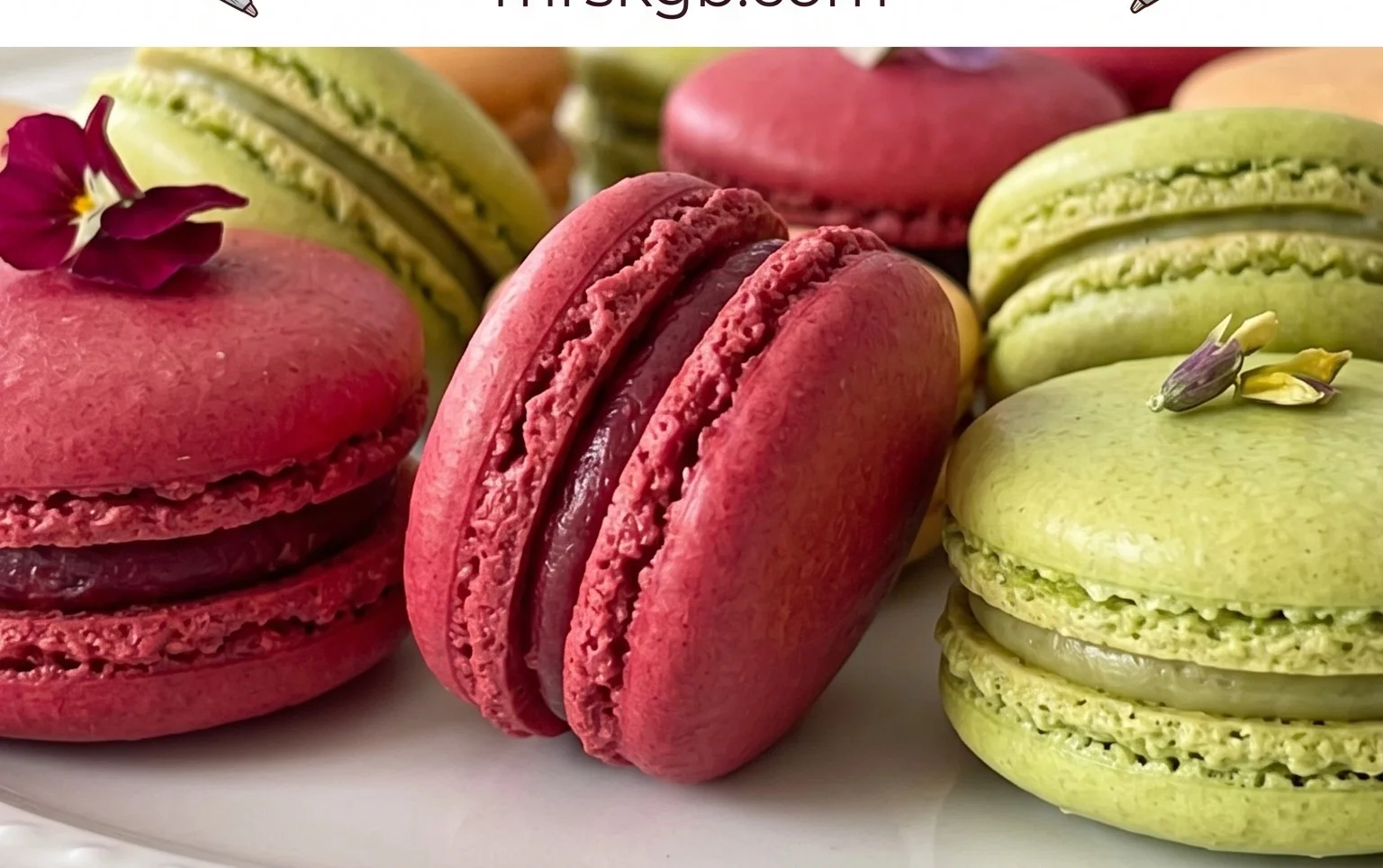 French Macaron Recipe